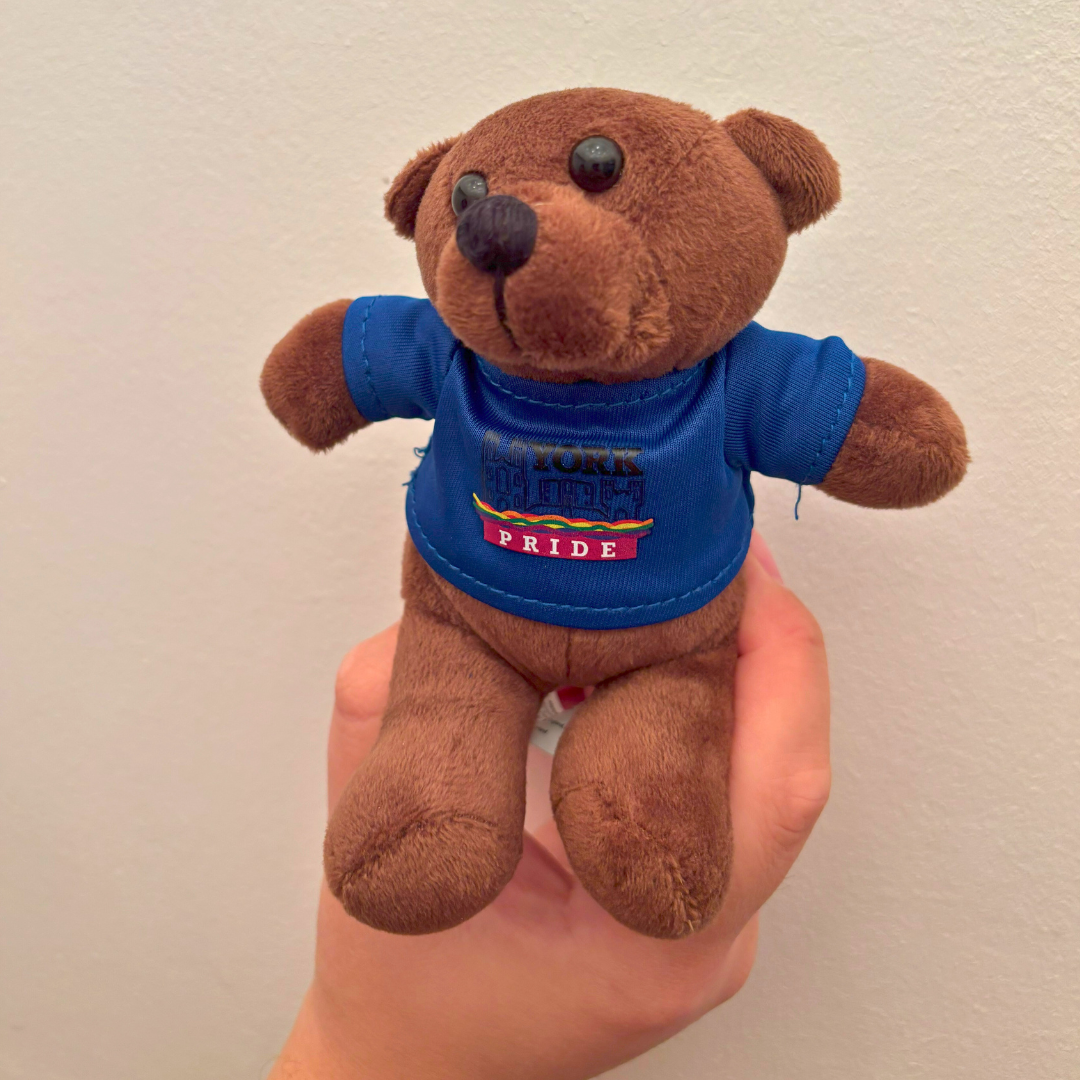 A hand holding a brown teddy bear wearing a blue York Pride shirt, symbolising LGBT+ inclusivity and celebration.