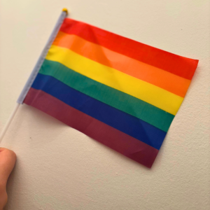 Hand holding a small rainbow Pride flag against a white background.