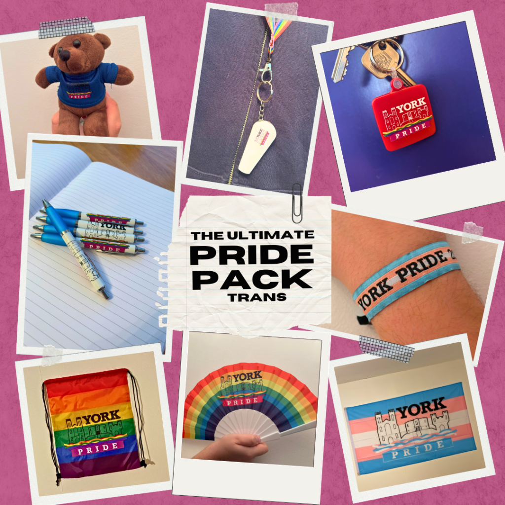 1. Plush bear in York Pride t-shirt, held in hand.
2. Lanyard with rainbow strap and whistle reading York Pride.
3. Red square keychain with York Pride logo and keys.
4. Notebook with five York Pride pens on top.
5. York Pride wristband on arm, blue with black text.
6. Rainbow