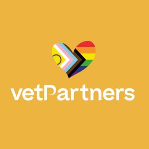 Heart-shaped pride flag with diverse colours and vetPartners text on a yellow background, supporting York Pride.